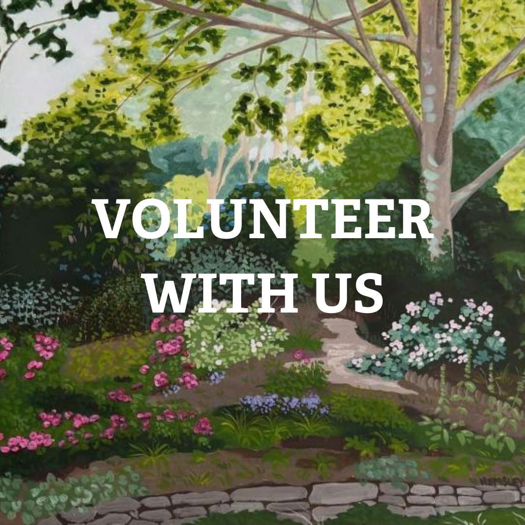 Volunteer with us! We're on the hunt for Open Garden Volunteer Co-ordinators.🪴 Our Open Garden programme showcases wildlife-friendly gardens across Cornwall to our green-fingered supporters & we need new co-ordinators to join the team. Apply now: buff.ly/3pWQ2Wc