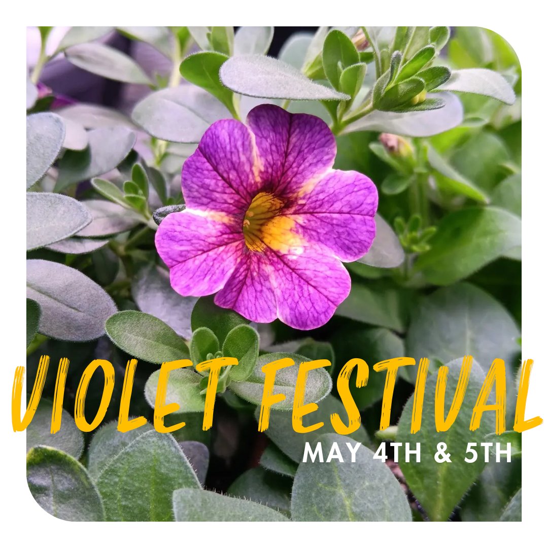 The 1st Annual Violet Festival is just around the corner! 💜 On May 4th and 5th, head to the Saint John Public Gardens to browse through beautiful greenhouse-grown plants and flowers, as well as a variety of local vendors. Learn more here: facebook.com/events/1186679…