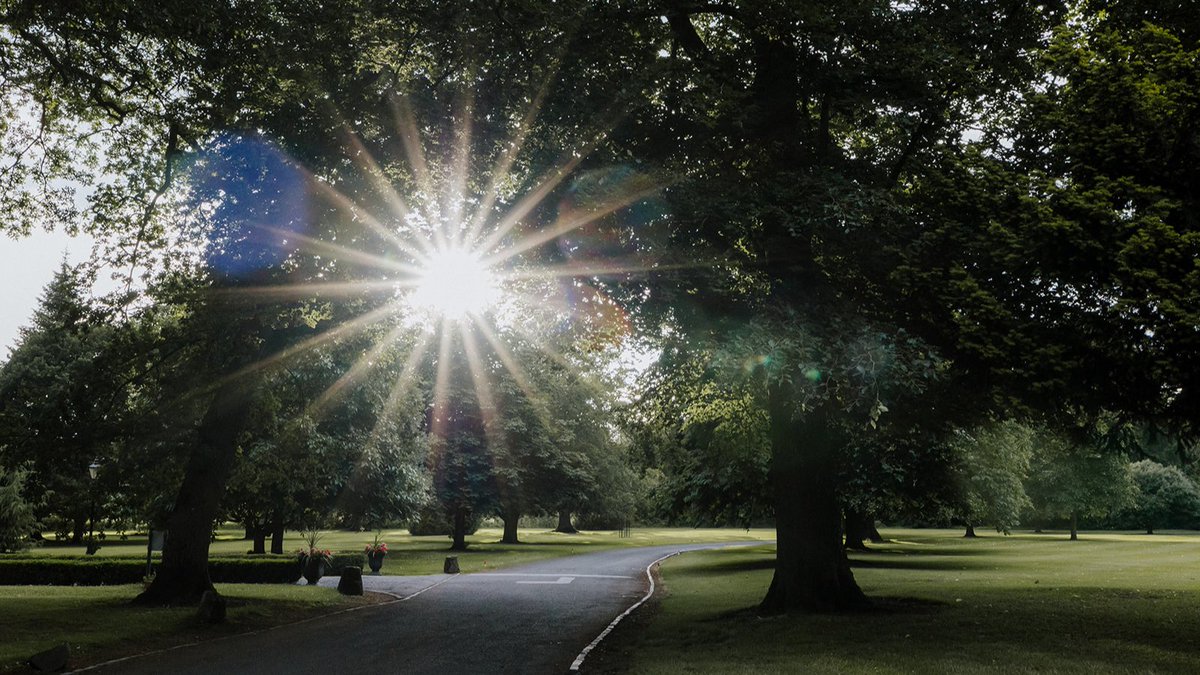 ✨ A stunning ray of light captured through the trees ✨

📷 Olga Hogan

#Nature #LuttrellstownCastleResort #WhereLuxuryReigns