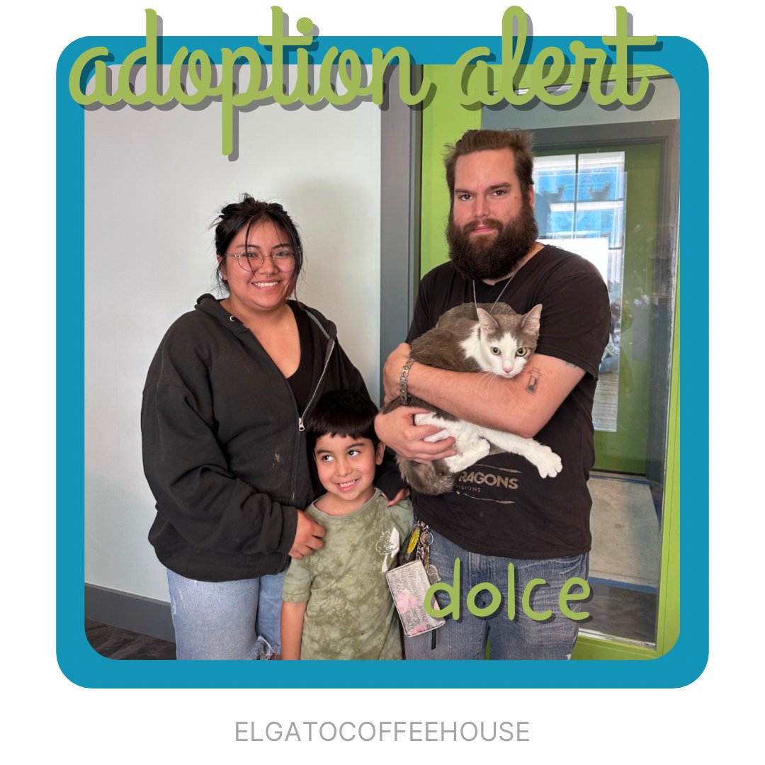 Dolce is Adoption 799! This precious baby girl is loving life in her new furrever home ❤️ Who will be the 800th Adoption? We have 3 cats currently on sleepover. Will it be Fluffy, Tigger or Xoe? Come Celebrate with us Today at our 7 year. We just may find out at our celebration.