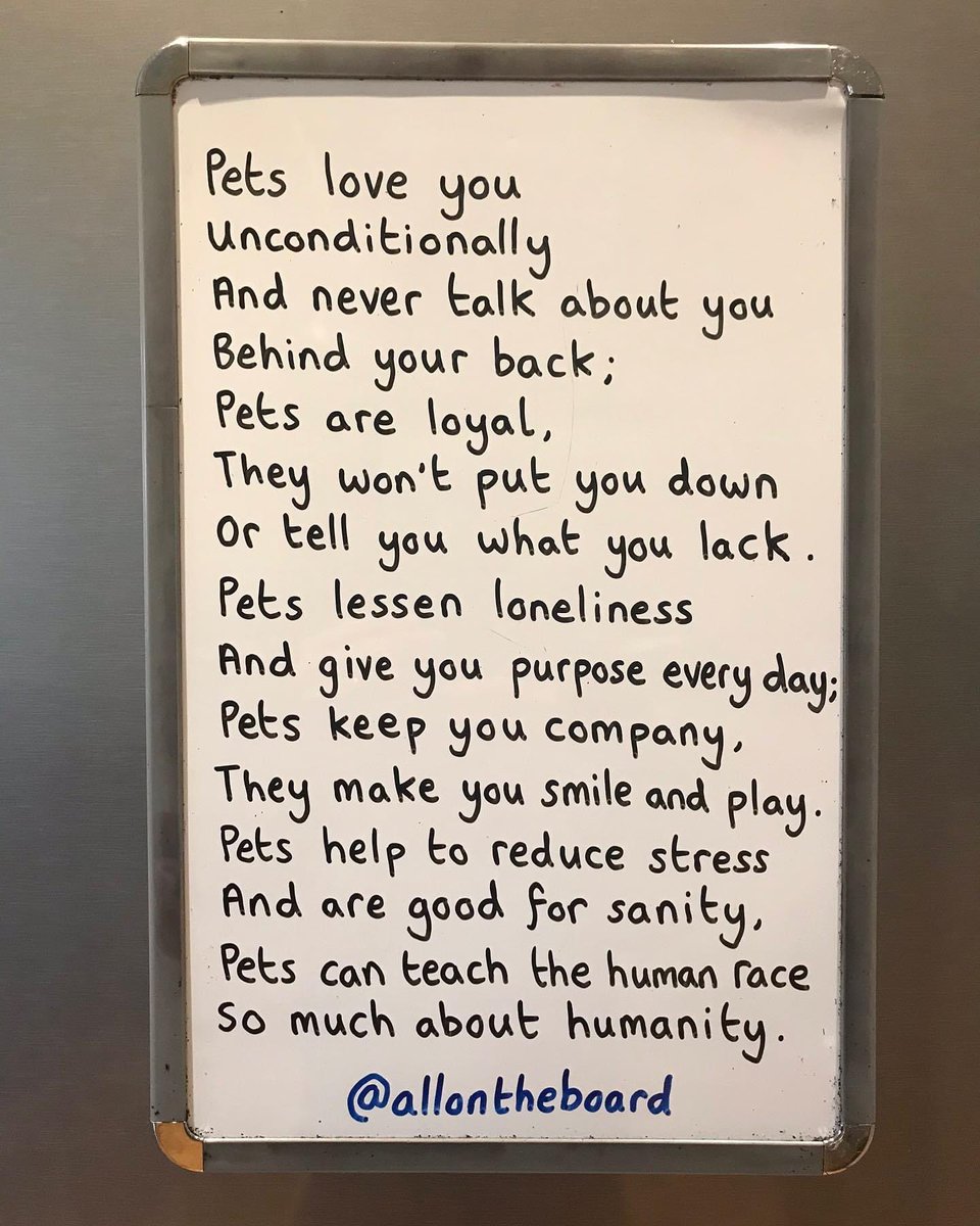 SO TRUE 🐾 Pets love you unconditionally And never talk about you Behind your back; Pets are loyal, They won't put you down Or tell you what you lack. Pets lessen loneliness And give you purpose every day; Pets keep you company, They make you smile and play. Pets help to
