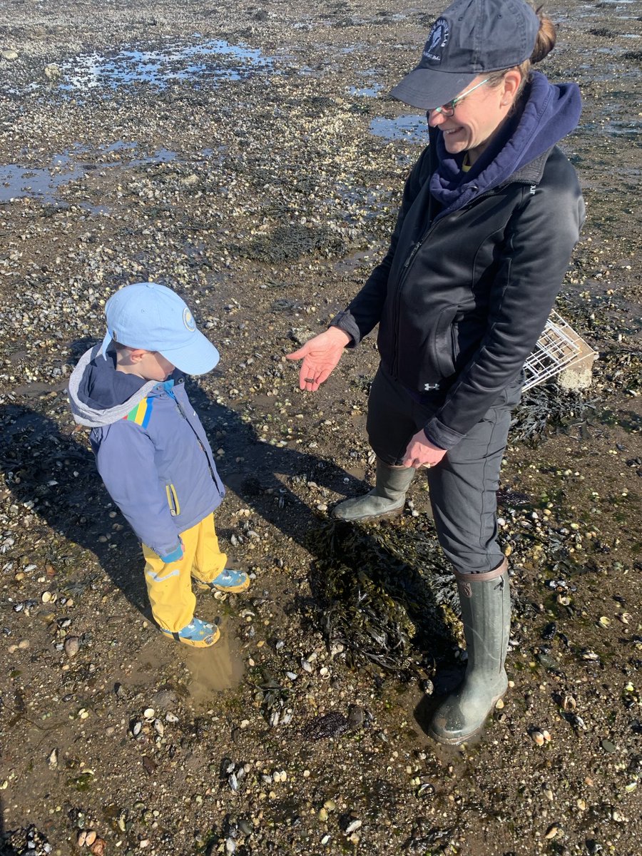 Beautiful day for our Biodiversity Cardross beach survey. It’s our fourth year of public engagement for this project. Very lucky to be part of this fantastic team! ⁦@UofGMVLS⁩ ⁦@UofGSii⁩ ⁦@AENMcGregor⁩ ⁦@cpt_liceboy⁩ ⁦@NatureScot⁩