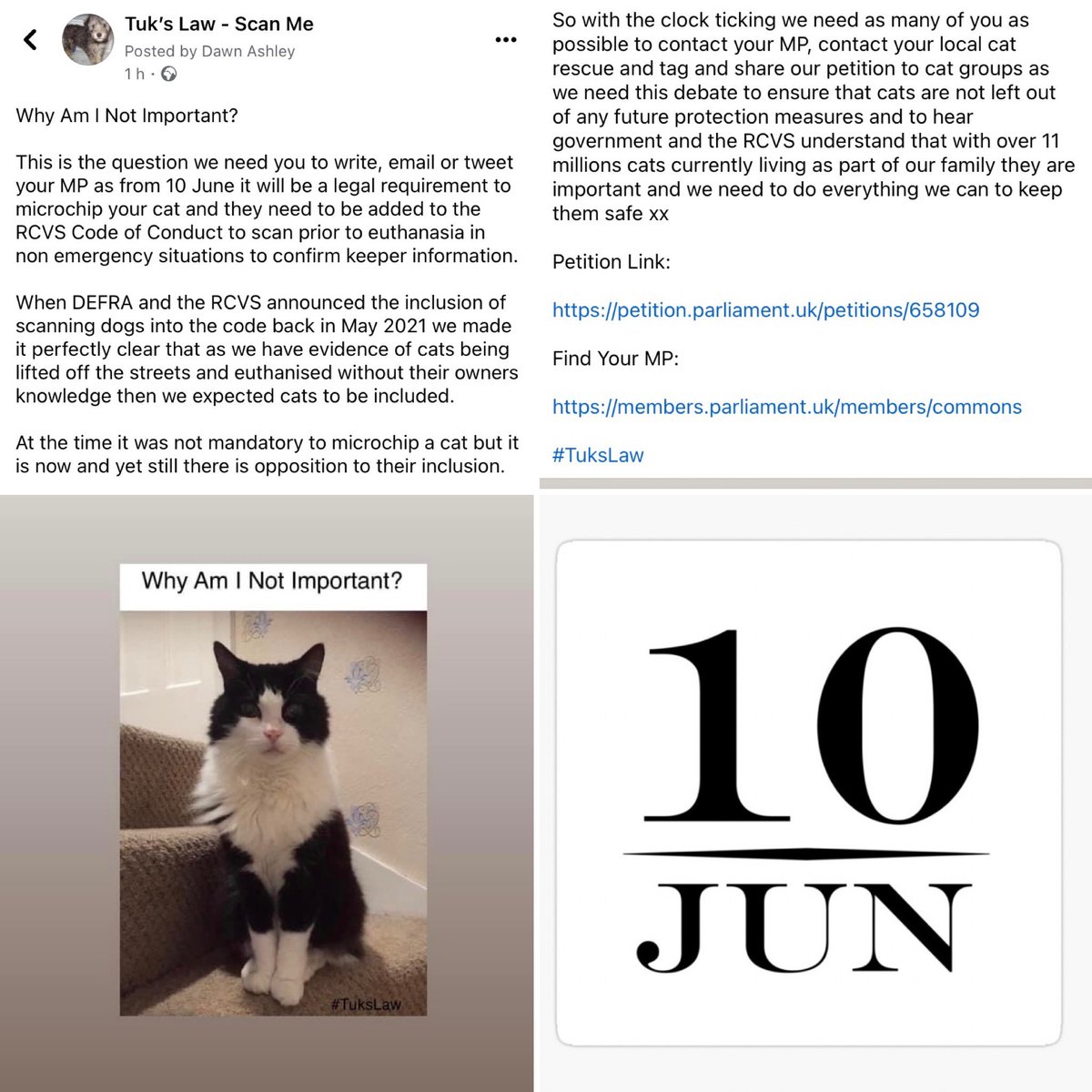 Our cats need the same rights as dogs when on 10 June microchipping our cats becomes law. 

Currently there are no plans to include them in the @theRCVS Code of Conduct. Why??

Retweet your MP, send an email and please support our campaign.

petition.parliament.uk/petitions/6581…

@CPMediaTeam