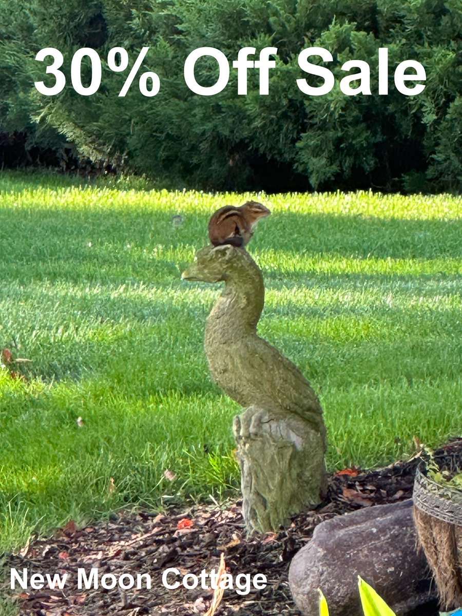 In honor of Beltane we are offering a 30% Off Sale!!  Now is the time to buy those items at will bring joy into your life. 

Shop: newmooncottage.com
Coupon Code: Joy30

#metaphysical