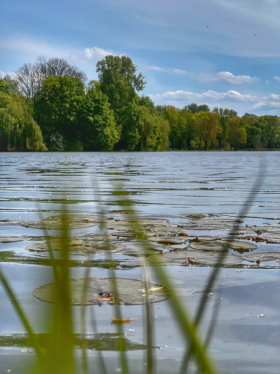 Mazurskie klimaty… w Nowej Hucie 👋