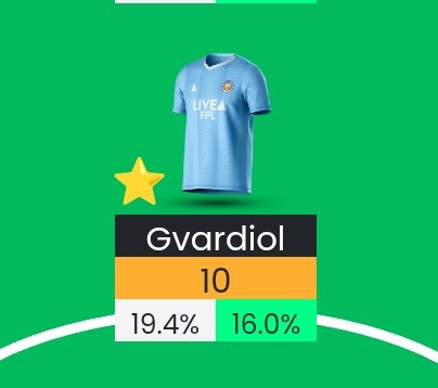 There was no way I was going to go without my brother on my FPL wildcard. No way!