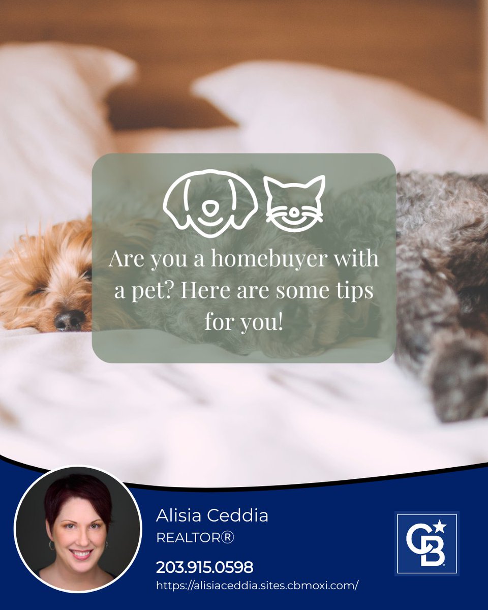 Here are the most important features of a home that pet lovers look for:

1) A fenced backyard
2) Laminate flooring
3) A place to hide the litter box
4) A nearby walking path
5) A spot to put the dog's kennel
6) A dog park

#petlover #petlovers #dogs #ctrealestate