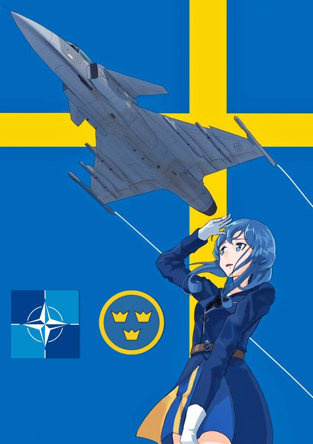 @NijhuisClaretta #Taurus need a launch platform, such as #Gripen, since neither #F16 nor #Su24 can launch the missiles.

#GripenForUkraine
#ArmUkraineNow