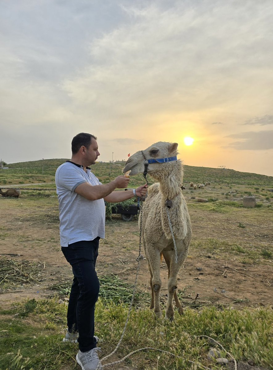 Harran’da sıradan bir gün🙂