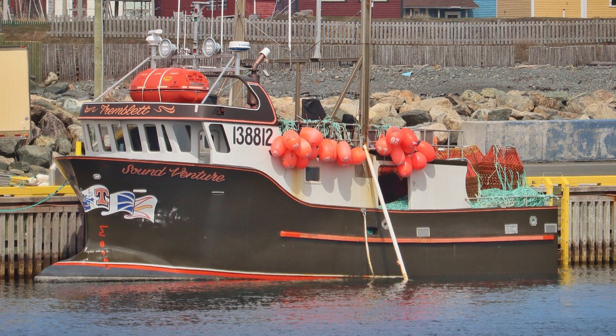 Lots of colourful boats in our harbour to compliment the colourful houses in our community. Later this year I plan on compiling some of my boat photos for a 2025 calendar. Bonavista, NL