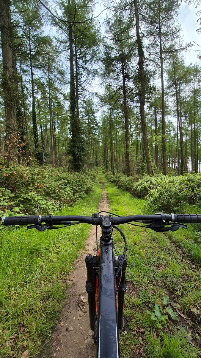 @Absolutemtb1 One from a ride around the top of Sidmouth. Nice to see the trails starting to dry out!