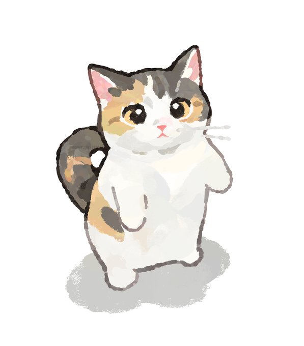 「三毛猫 誰もいない」のTwitter画像/イラスト(新着)