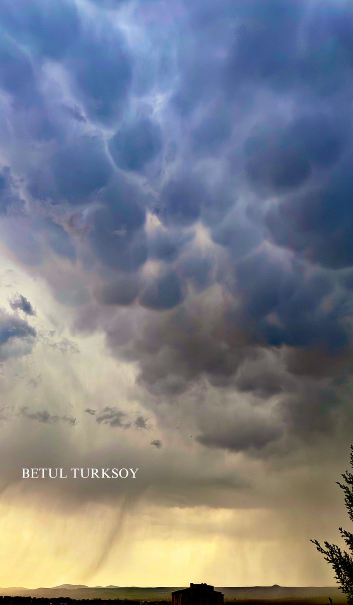 Kayseri’de mammatus bulutları.. Anlık..
Şimşekleri çekmeye çalışırken bir anda oluşan bulutları gördüm, 8-10 dakika içinde kayboldular.. 
Mammatus bulutları var ise fırtına da vardır bilirsiniz.. O sırada, gökyüzü gerçekten coştu diyebilirim. Makineyi kurana kadar düşen…