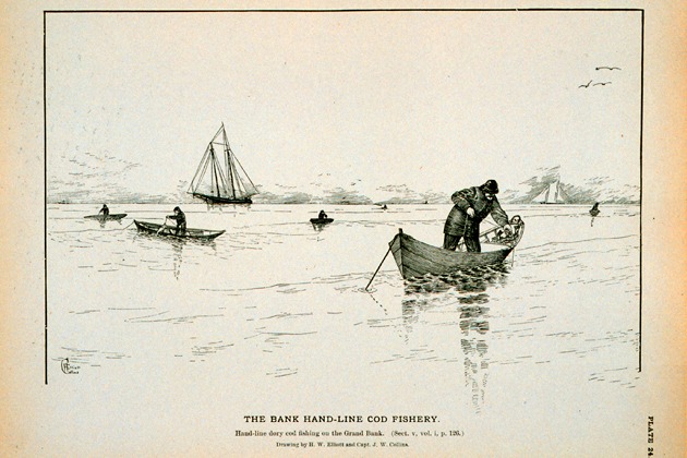 Hand-line dory cod fishing on the Grand Bank. (Drawing by H.W. Elliott and Capt. J.W. Collins. Image from the NOAA National Marine Fisheries Service, Historic Fisheries Collection.)#fishingarchitecture