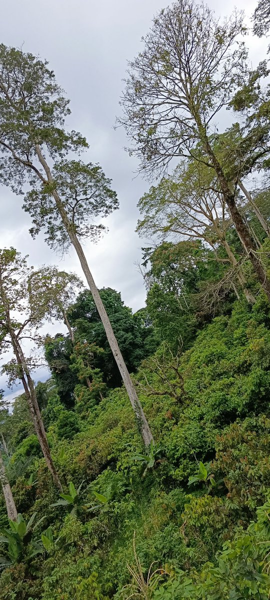 The time to act is now. Our planet is facing a critical juncture, and the choices we make today will shape the future of life on Earth. By committing to sustainable living, each of us can be part of the solution and leave behind a healthier, more resilient world <a href="/Sdg13Un/">🇺🇳 #UN 🇺🇳 #SDGs 🌏 #ClimateAction 🌐 #ActNow</a> <a href="/UNEP/">UN Environment Programme</a>