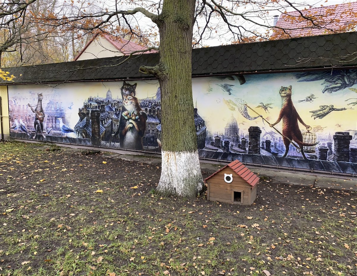 Cats of #Zelenogradsk (#Kaliningrad region, #Russia) #photo via OKotoffski on pikabu #StreetArt #cats #CatsOfTwitter