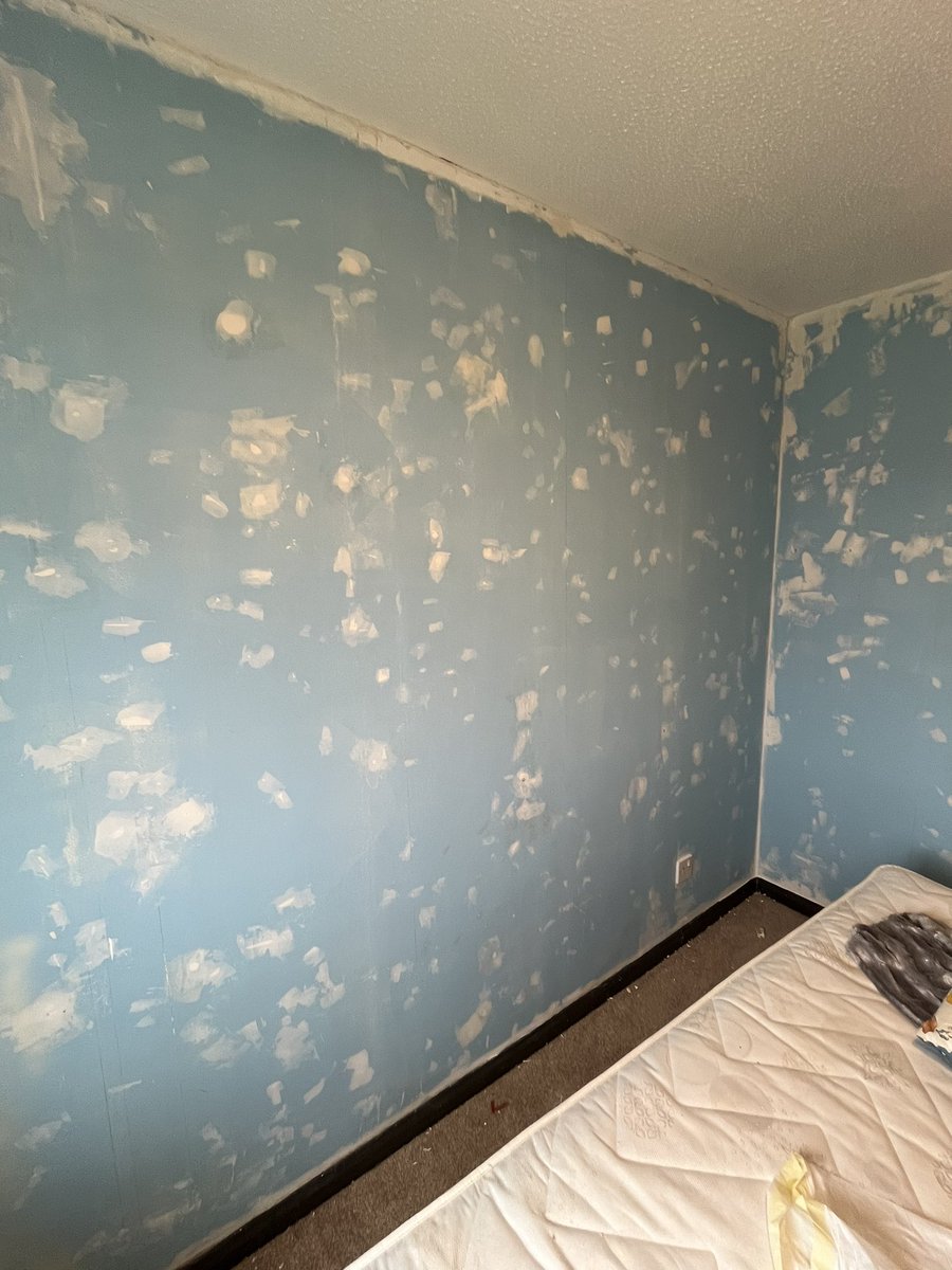 I’m not saying the person that lived her before I hate. But these are all the holes, scratches, chips, dents we’ve had to fill in of just one wall today.