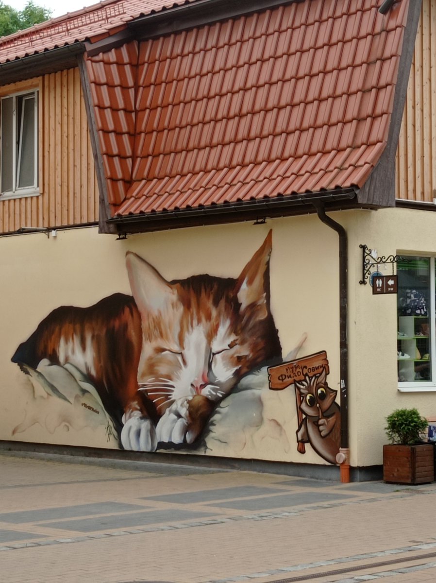 Cats of #Zelenogradsk (#Kaliningrad region, #Russia) #photo via OKotoffski on pikabu #StreetArt #cats #CatsOfTwitter