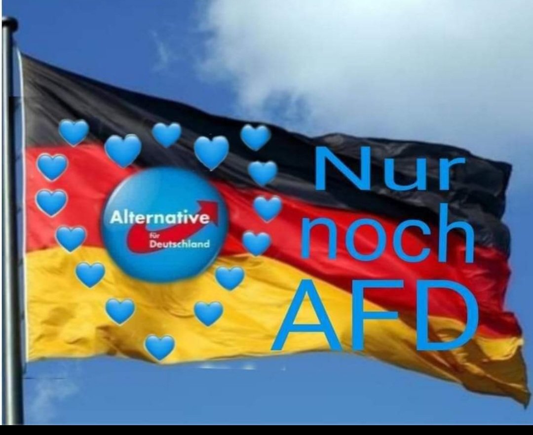 Ihre Hetze macht uns stärker 💙 Ihre Lügen festigen den Zusammenhalt 💙 seit wachsam ! kämpft ! für unser Land 🇩🇪