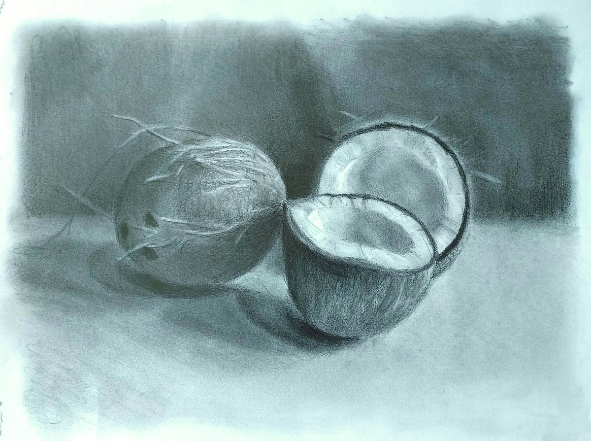 Pencil drawing of coconuts, today's messing around. Pencil on cartridge paper 24 x 33 cm. 
#pencildrawing #coconut  #observationaldrawing