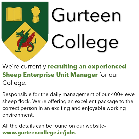 We're currently looking for a talented Sheep Enterprise Unit Manager to join our farm team here at Gurteen! If you, or someone you know, would be ideal for the role then please check out our website for all the information, and details on how to apply: gurteencollege.ie/sheep-enterpri…