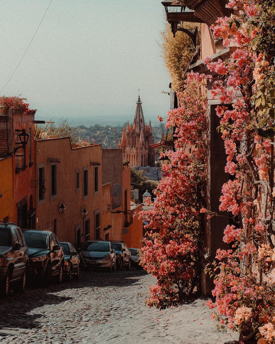 🌸 Las ciudades coloniales lucen en primavera también. 🕍

📍San Miguel de Allende, Guanajuato

📸 instagram.com/chrisluengas

#SanMiguelDeAllende #Guanajuato #CiudadColonial #Primavera #México #Turismo #Viajes #PatrimonioDeLaHumanidad #MéxicoTravelChannel