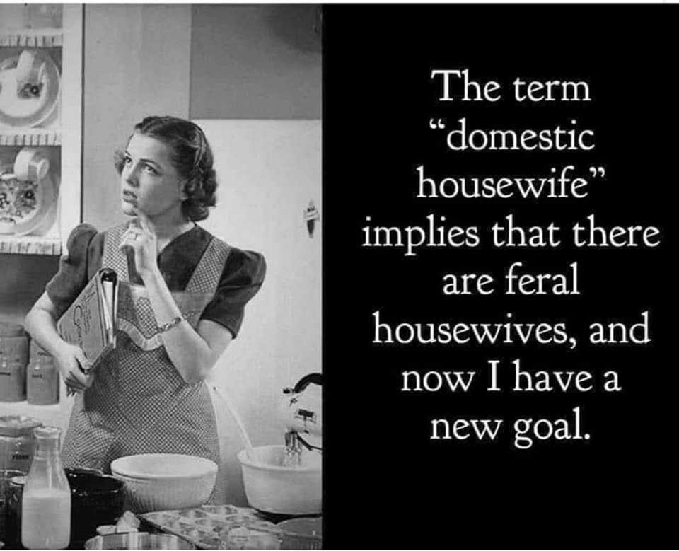 Feral housewives: unite!