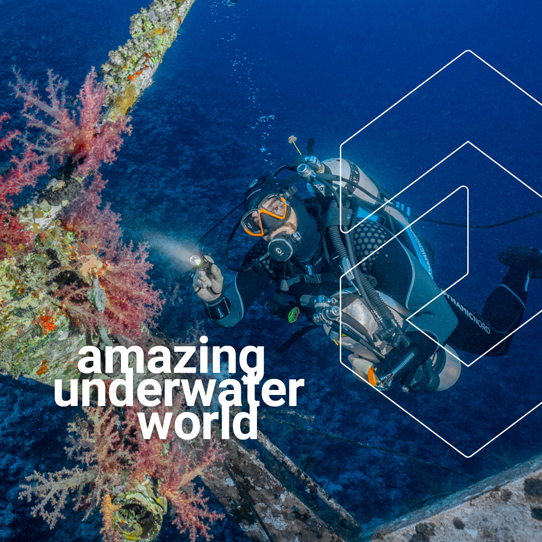 🧜🏼 Go on a journey of discovery. 🧜‍♀️

 #DYNAMICNORD #JourneyOfDiscovery #ExploreMore #MermaidLife #OceanAdventure #DiscoverNewWorlds #UnderwaterMagic #MagicalJourney #MermaidVibes #AdventureAwaits #ExploreTheUnknown