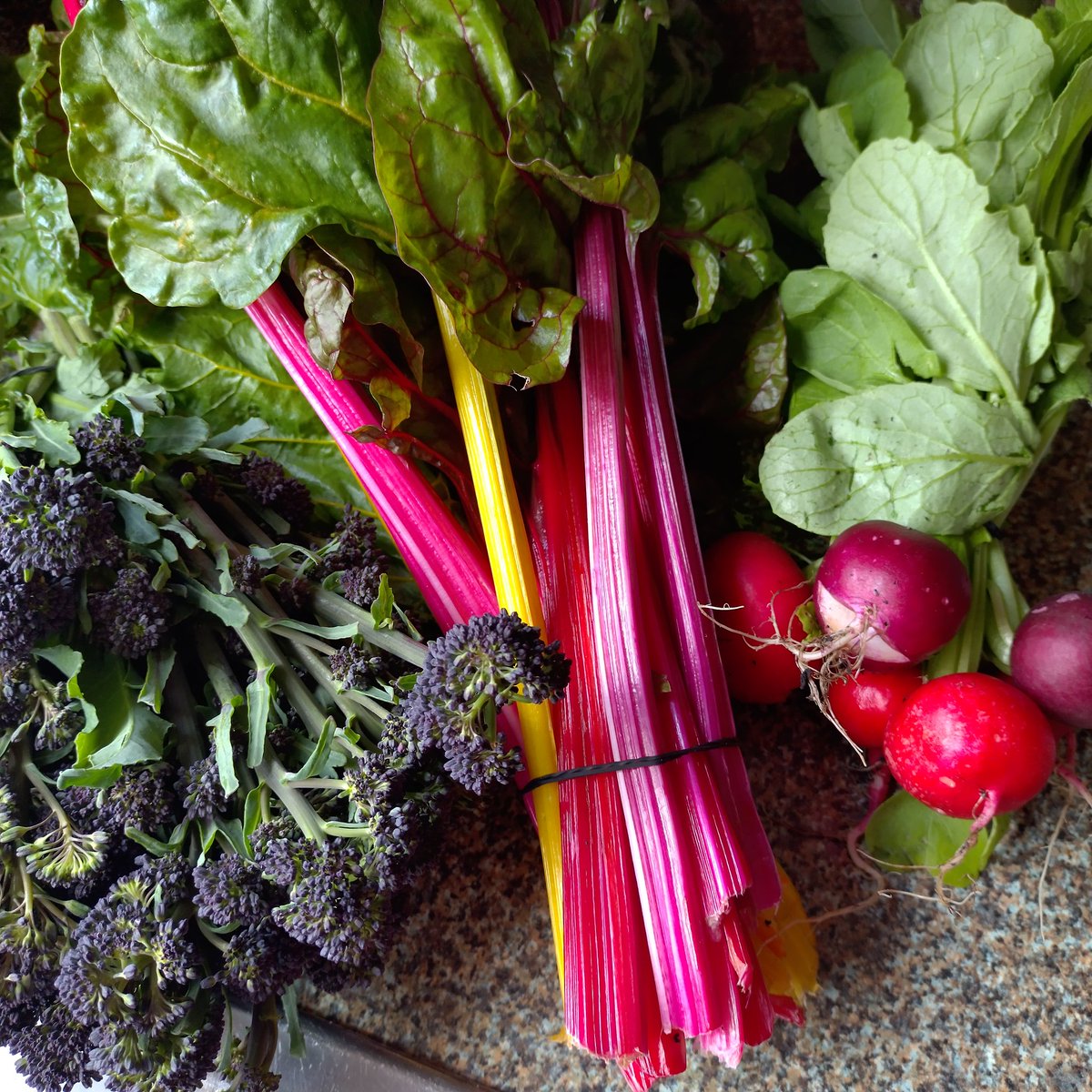Jackpot at yesterday's farmers market 🥬🩷🥦😋 This is going to be today's dinner 👌🏻 (well, aside from the radishes, which are already gone! 😅). Plus: it was all grown locally, less than 20km from where I live 🤗 
PS. How do you eat swiss chard? 
#vegan #eatyourgreens #goodfood