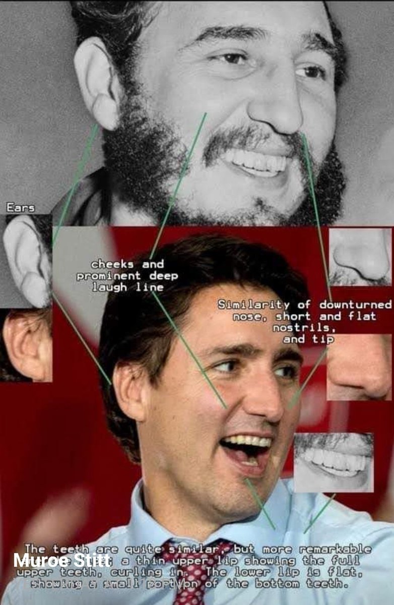 Interesting 🤔
#WhosYourDaddy
#TrudeauWorstPMEver