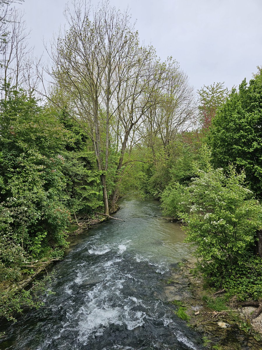 Cloudy 🌥 and warm with a strong wind 🌬 today here in #Germany, #Westphalia, best weather for a #SundayWalk.
#StayHealthy #100daysofwalking #365daysofwalking #SundayFunday #Spring #Sunday