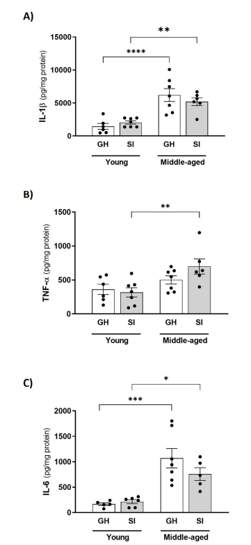 4) Ageing and social isolation upregulate microglia reactivity in the hippocampus, 5) Social isolation increases NLRP3 inflammasome priming in the hippocampus and 7) Ageing, but not social isolation, increases the expression of proinflammatory cytokines in the hippocampus.