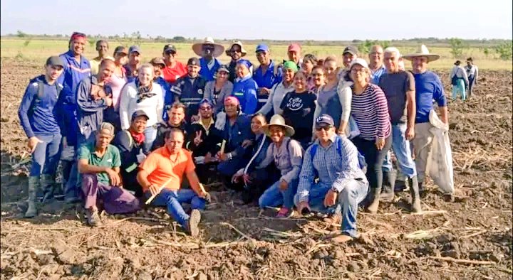 Los de la foto son jóvenes trabajadores de la salud y de nuestra Termoeléctrica Carlos Manuel de Céspedes, dos sectores que a diario superan todo tipo de obstáculos 💪 Cansados? Na...lo que sea por Cuba 🇨🇺🇨🇺 Se crea trabajando 💙🤍❤️ #PorCubaJuntoCreamos #DeZurdaTeam