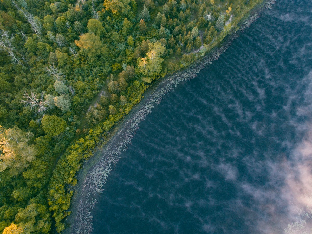 Want to have fun & help monitor the quality of Michigan's lakes at the same time? @MSUExtension & @MichiganDNR are looking for volunteers. More information via @FOX2News & @Yahoo. yahoo.com/news/help-moni…