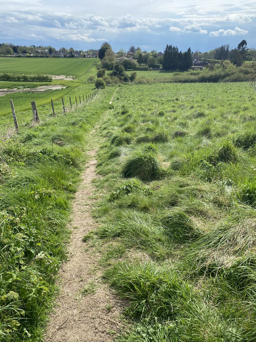 Enjoying nature and peace on a long-ish (for me!) trail run today. Time to be thankful. #NHS1000miles
@UKRunChat