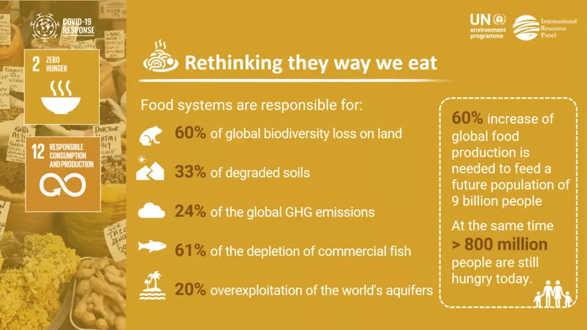 Where we live, how we travel and what we eat all have an impact on our planet. 🌎🚲🥣

In 4 infographics, @unepirp shows how rethinking the way we live can make a difference #ForNature, climate and people.

Learn more via @wef: bit.ly/3kqJsBS