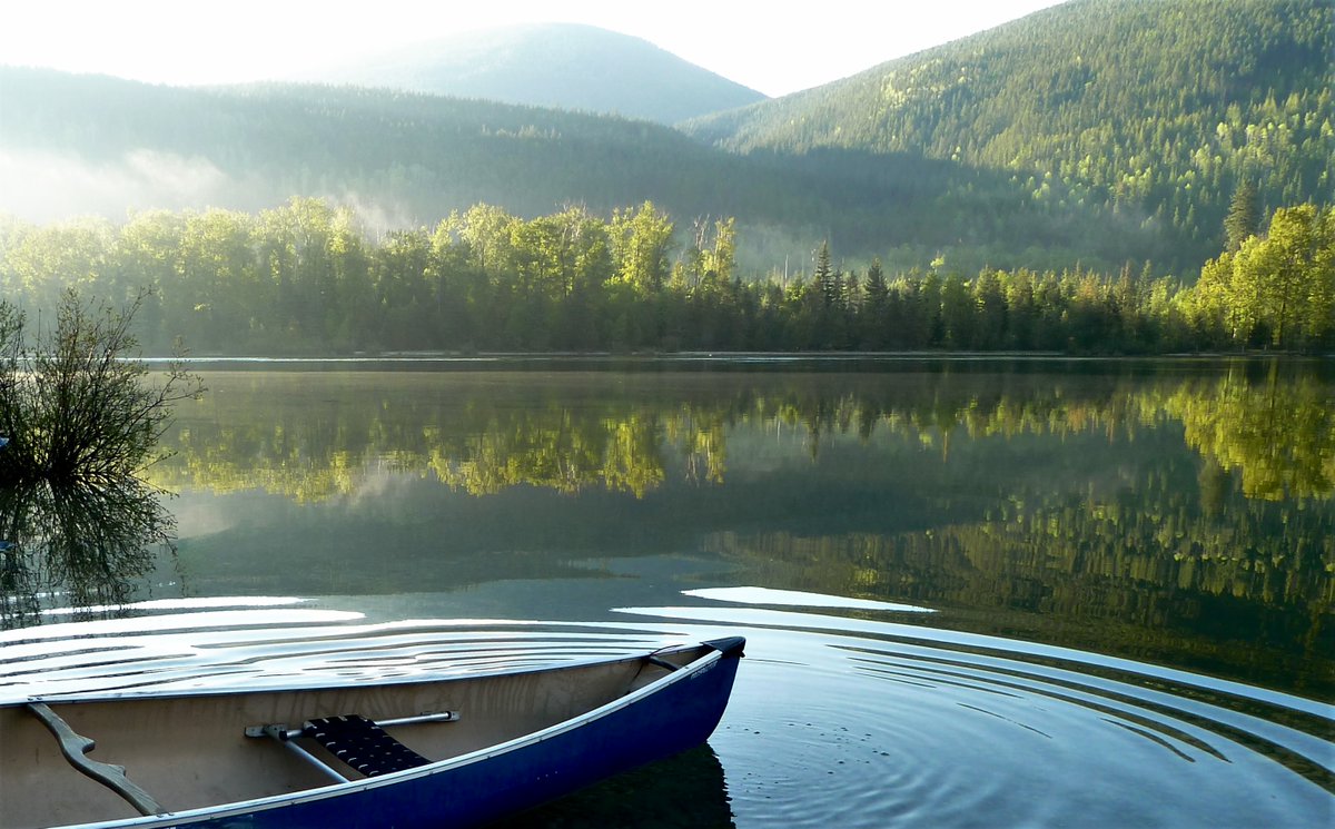 Spring morning. #canoeing #stillness #movement