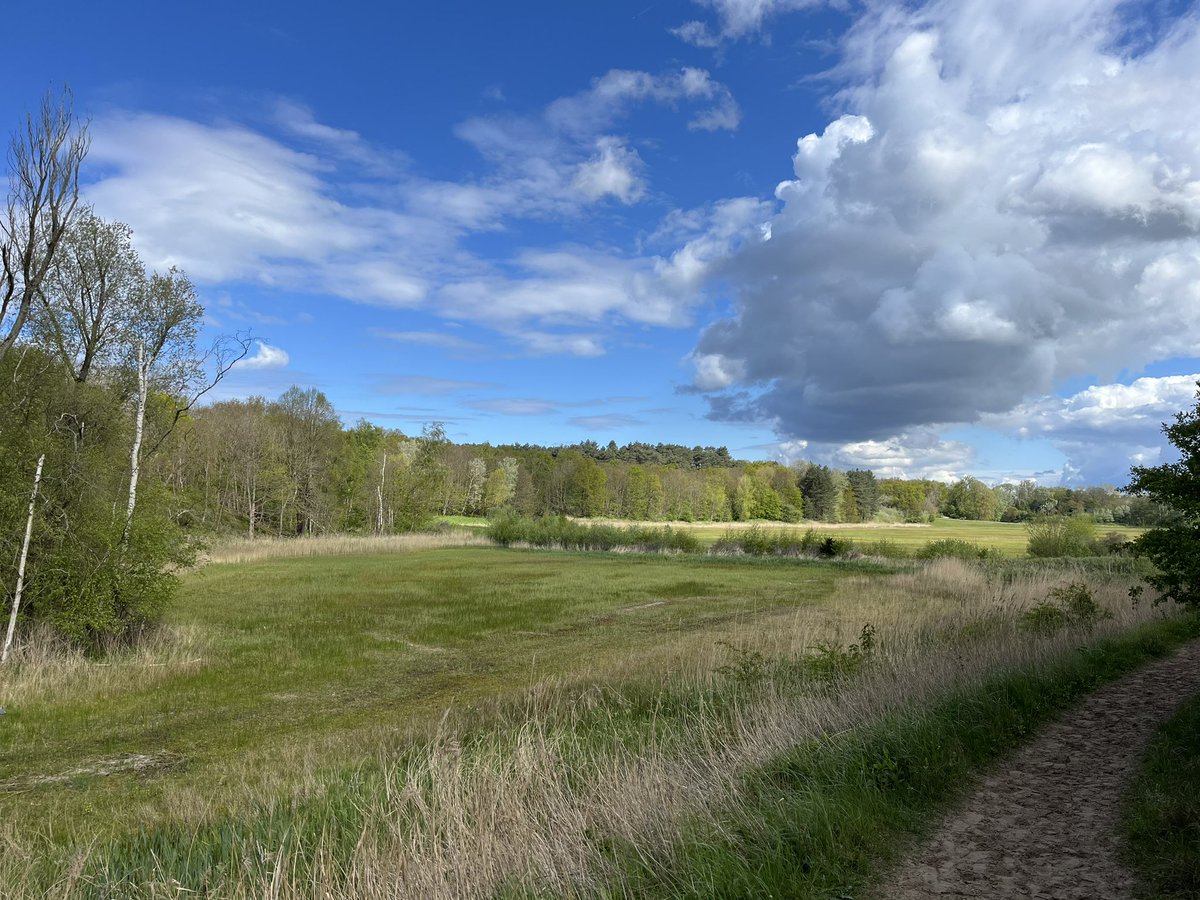 I love the freshness of spring🏃🏻‍♀️!