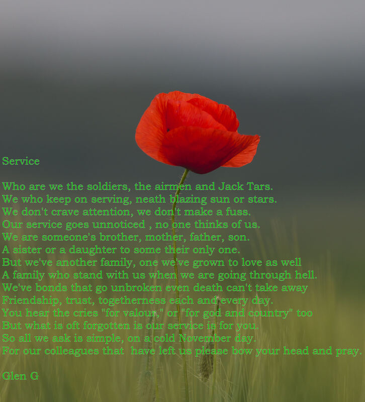 Service - Just My Words justmywordsbyglen.weebly.com/13/post/2023/0… #Remembrance #serve #militarymen #militarywomen