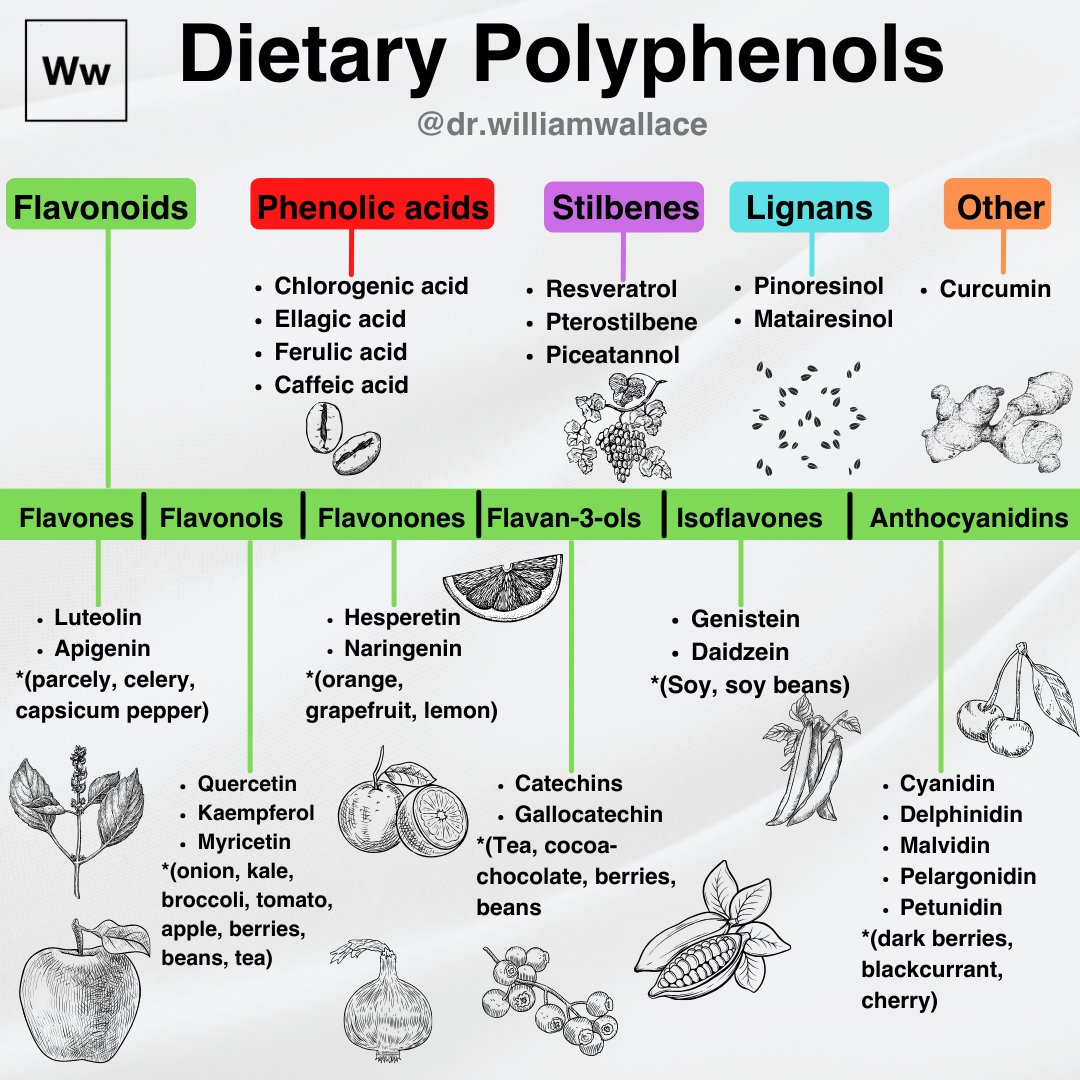 Polyphenols are bioactive compounds that are naturally present in foods of plant origin. When ingested (in appropriate amounts), these compounds protect the body (some in a tissue-specific manner) against different physiological and environmental toxins and disease risk factors…