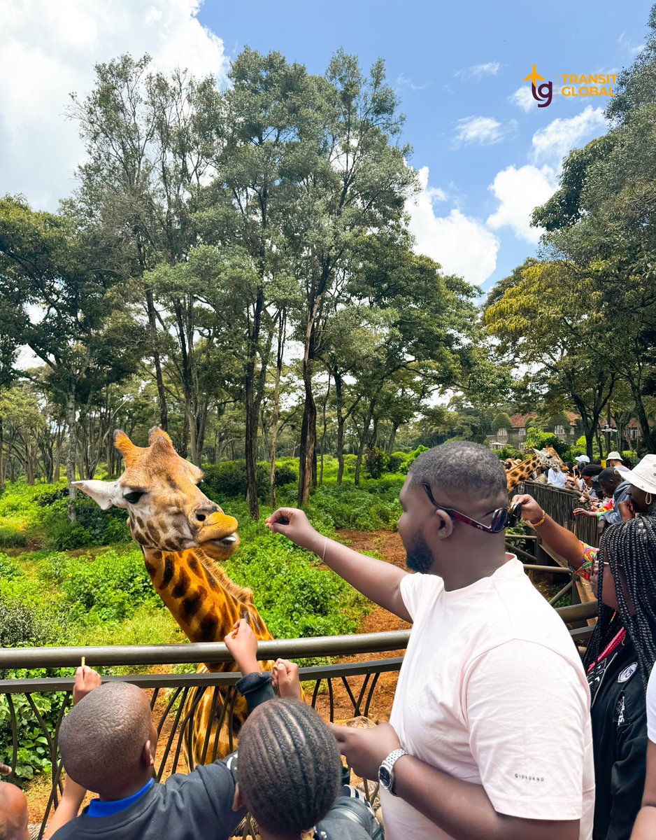 We love Kenya 🇰🇪 
Is Kenya on your bucket list this year? 
Join our next trip in August! 

You can’t afford to miss out 🥳
.
#kenya #nairobi #nairobikenya #kenyagiraffecentre #nairobikenya #travelkenya #canivorerestaurant #kenyafashion