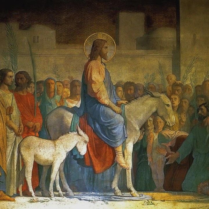 Blessed Palm Sunday☦️