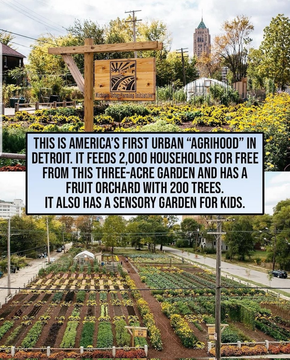 This is the result of Community Building...#SolidarityEconomy.

It's not impossible to create  Localized Food Sovereignty that Empowers the Community...👏🏾🥒🥦🥕🍊🍎🥜..👍🏾✊🏾....#BuildandFight