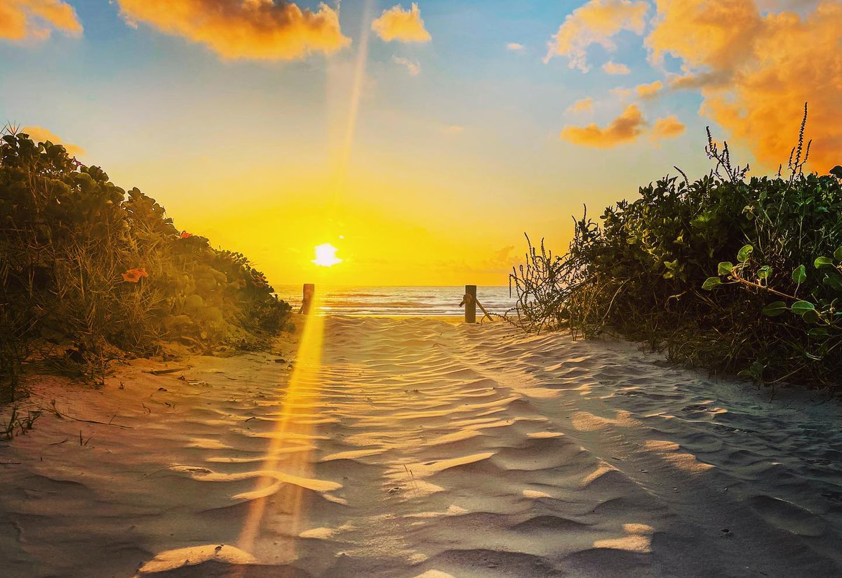 We can never get enough of Sunday sunrises on South Padre Island ☀️  Start your day with golden skies and endless possibilities. Who else loves waking up to these beautiful views? 

📸 : Travis Smith Photography
#SoPadre #TexasBestBeach