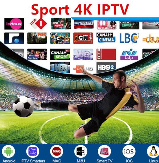 Best #IPTV Services We provide you 24K plus Channels with 4K Quilty On Cheap Rates.We Offer You Free Trails All Sports DM For Subscription come for 4k #IPTV Cheap price wa.me//+447853622651 Free Trial #新空港占拠 #bbclaurak #BBB24 #NEWMCI #Gladiators #bbvipal