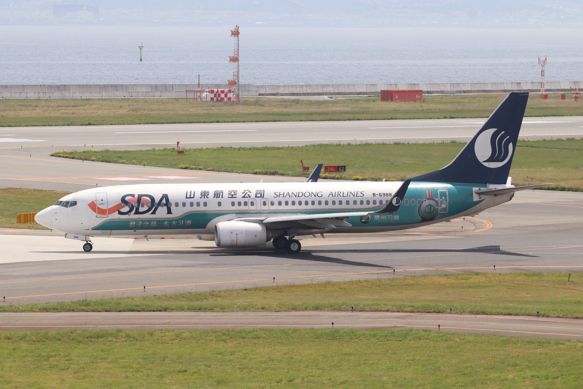 SC4092 B-6988 737-85N Shandong Airlines 貴州習酒 2024.4.28 KIX #関西国際空港 #山東航空