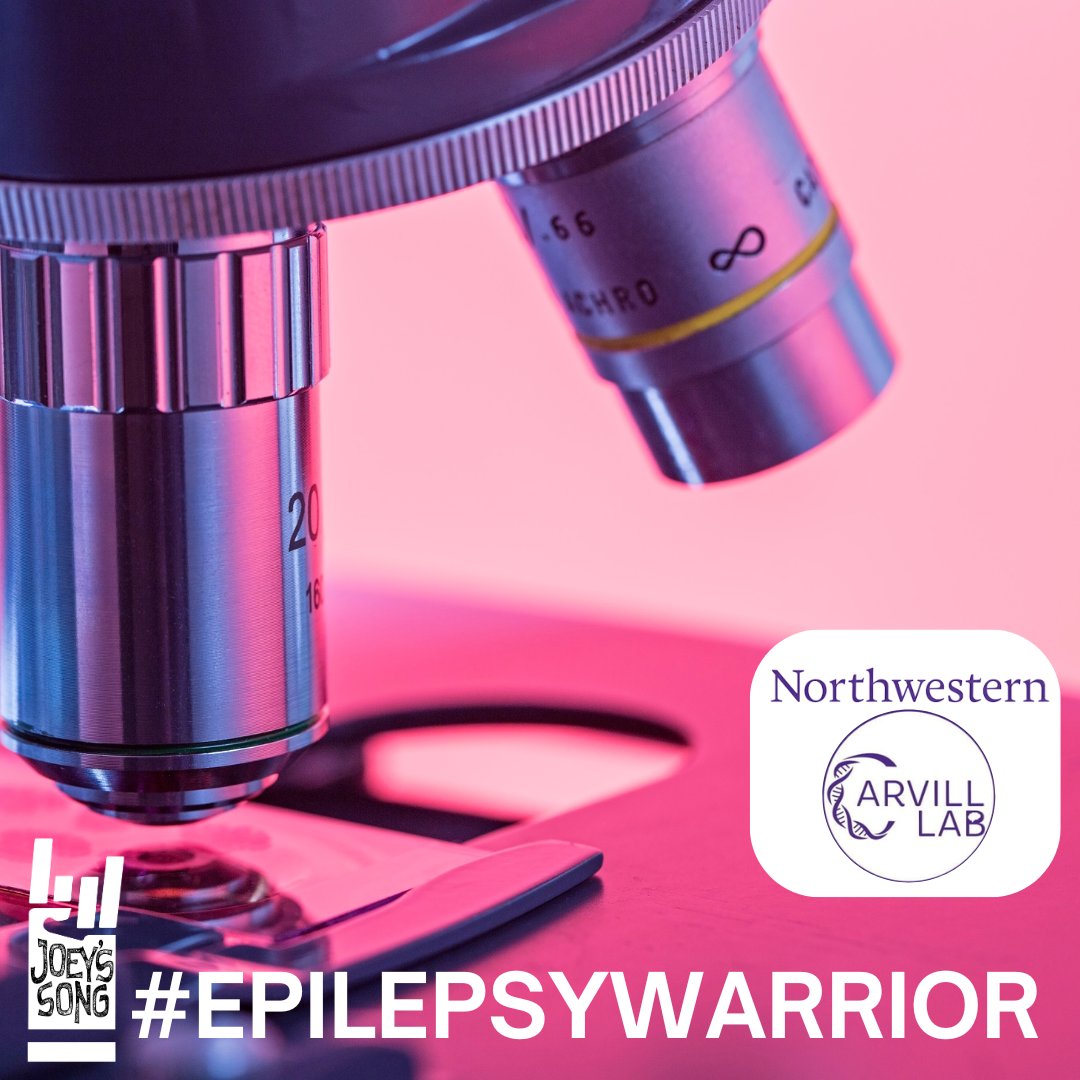 💥 It's #SuperheroDay! We celebrate real-life heroes who are searching for a cure. People like Dr. Gemma Carvill at @northwesternu who is researching the genetic causes of epilepsy to identify new treatments. Together, we can make a difference! #EpilepsyWarriors #ResearchHeroes