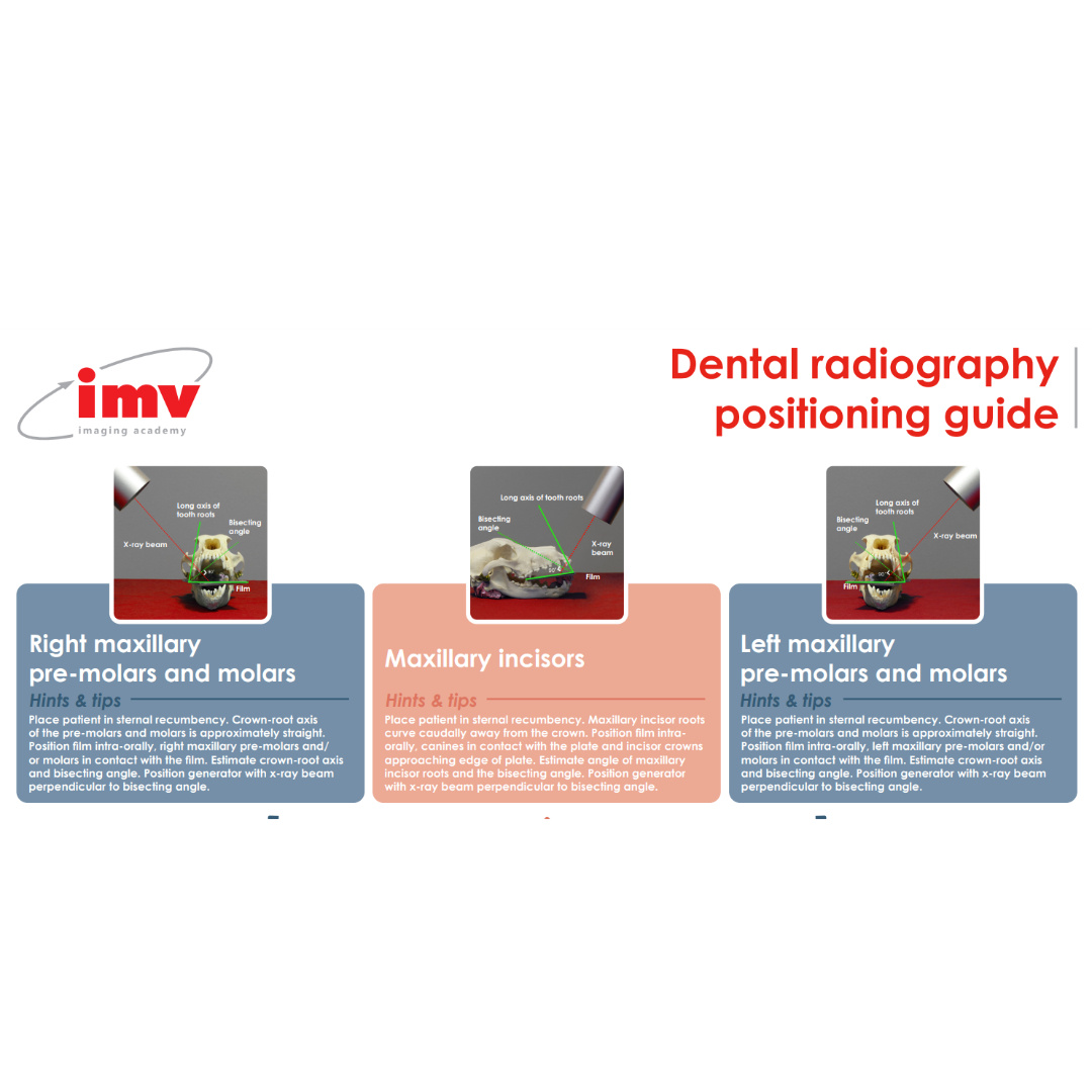 🦷📸 Explore one of the most popular downloads of the month: the Dental Radiography Positioning Guide! Perfect your dental imaging skills with our comprehensive guide. Download now and elevate your practice! Download Here: hubs.ly/Q02tW9Br0