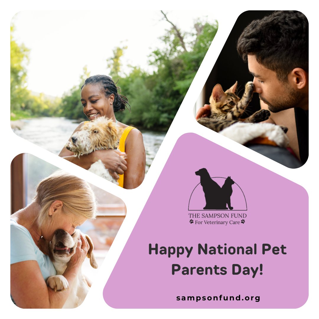 🐾 Happy National Pet Parents Day! 🐾

Pets are more than just animals; they're beloved family members who fill our lives with joy & companionship. Share a photo of your pet & tell us what makes them special! 🐶🐱❤️ 

#NationalPetParentsDay #PetsAreFamily #CapeCod #OrleansMA