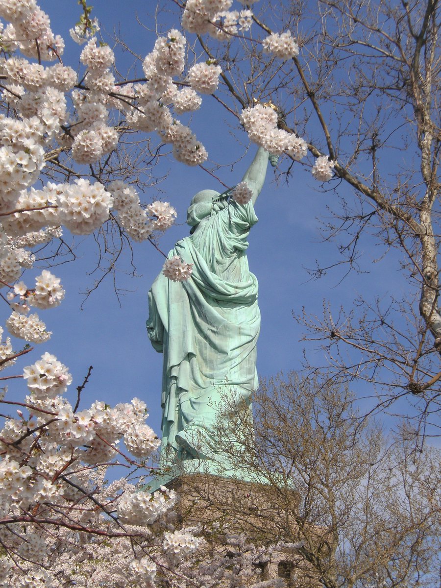 Spring looks good on the Statue of Liberty 🗽💮 #StatueOfLiberty #SpringInNYC